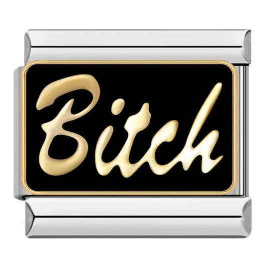 House of Italian charms. Customisable stainless steel charm bracelet from House Of Italian Charms – high-quality Italian link charms for personalized jewelry. Perfect for gifting or expressing your unique style.  Bitch. 