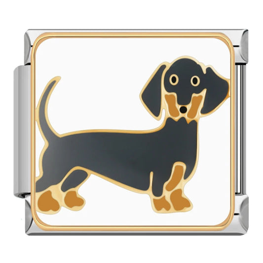 Dog (Sausage Dog)